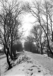 Snow on the old Tramway: once a railway along which horse-drawn wagons brought coal. 5 January 1962.