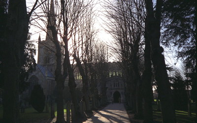 The churchyard, Holy Trinity Church. The trees lining the path apparently represent the 12 Apostles (one is set back from the path to represent Judas). Date unknown, probably in the late 1970s or early 1980s.