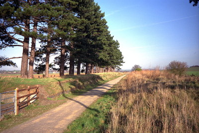 The 'Greenway' (originally a railway to Evesham) passes the site of Milcote Halt: 1990.